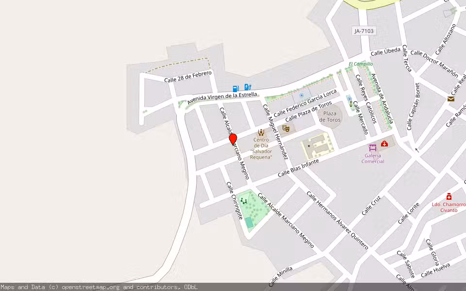 Mapa de Subasta Inmueble (Solar) en La Carolina, Jaén