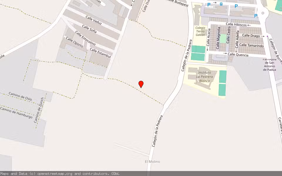 Mapa de Subasta Inmueble (Finca rústica) en Chiclana De La Frontera, Cádiz