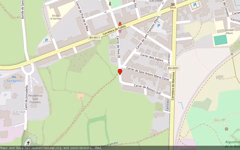 Mapa de Subasta Inmueble (Finca rústica) en Santpedor, Barcelona