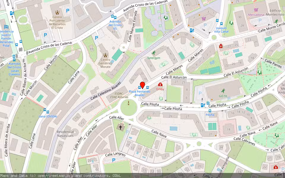 Mapa de Subasta Inmueble (Vivienda) en Oviedo, Asturias
