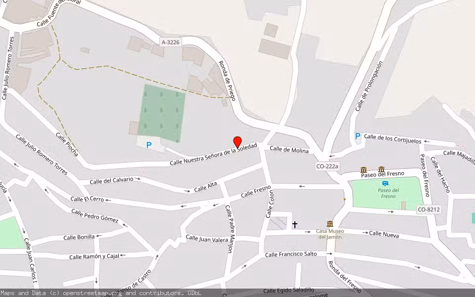 Mapa de Subasta Inmueble (Vivienda) en Rute, Córdoba