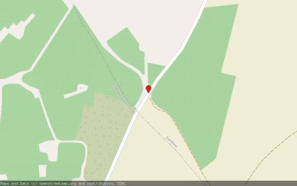 Mapa de Subasta Inmueble (Finca rústica) en Villanueva De Los Infantes, Ciudad Real
