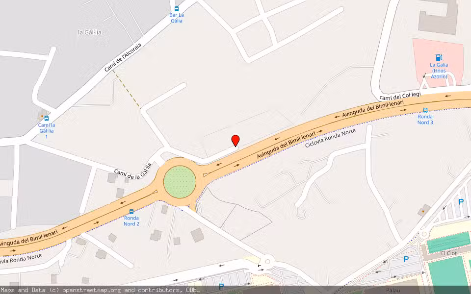 Mapa de Subasta Inmueble (Finca rústica) en Elx/elche, Alicante/Alacant