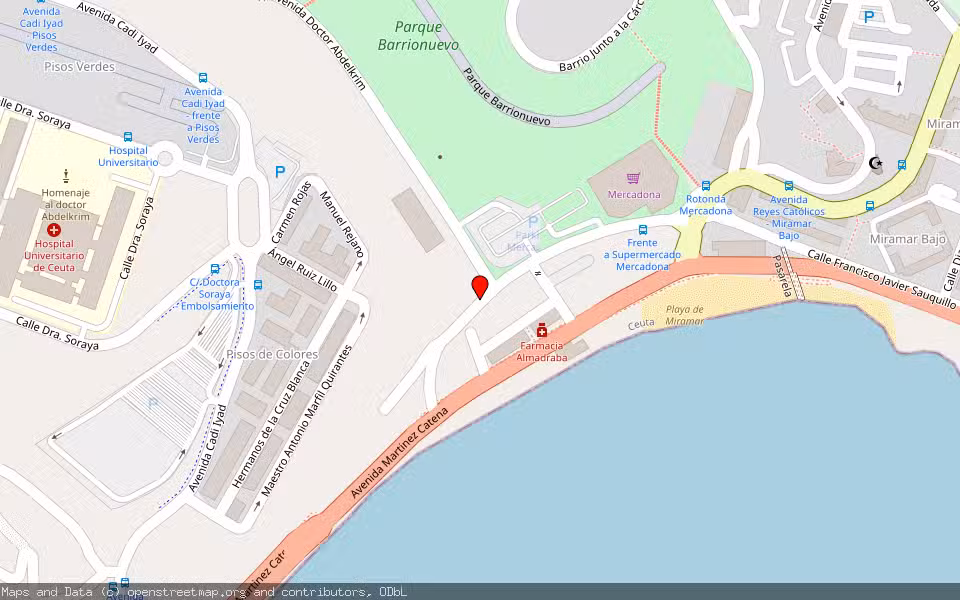 Mapa de Subasta Inmueble (Nave industrial) en Ceuta