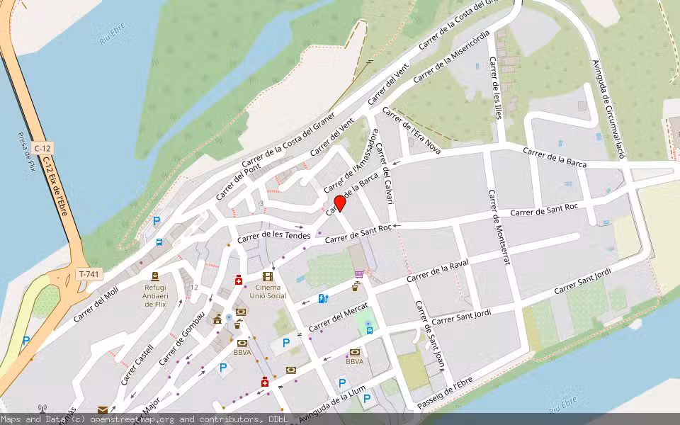 Mapa de Subasta Inmueble (Vivienda) en Flix, Tarragona