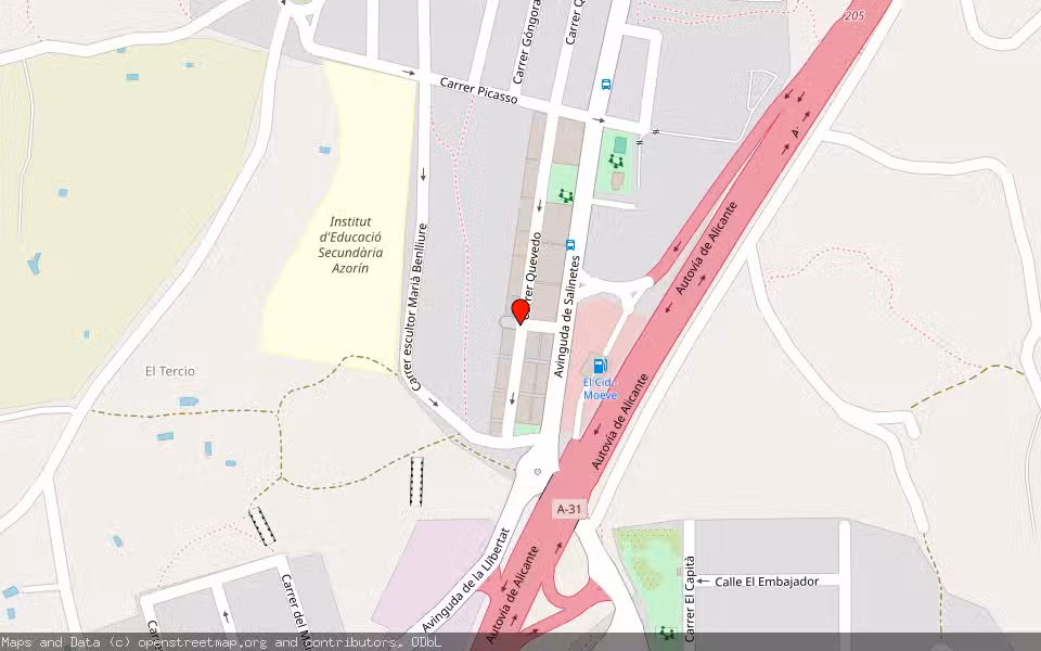Mapa de Subasta Inmueble (Garaje) en Petrer, Alicante/Alacant