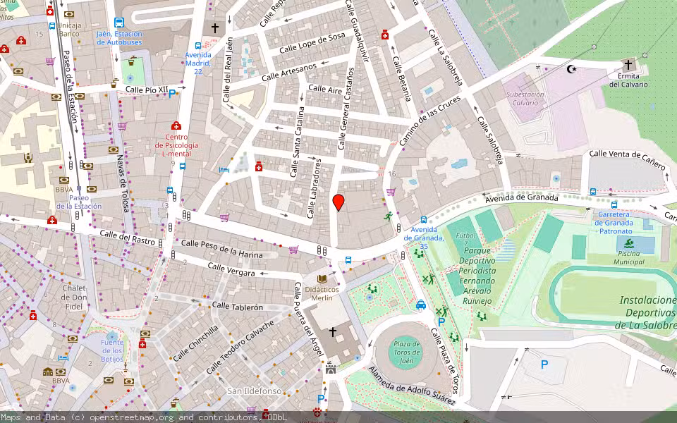 Mapa de Subasta Inmueble (Vivienda) en Jaen, Jaén