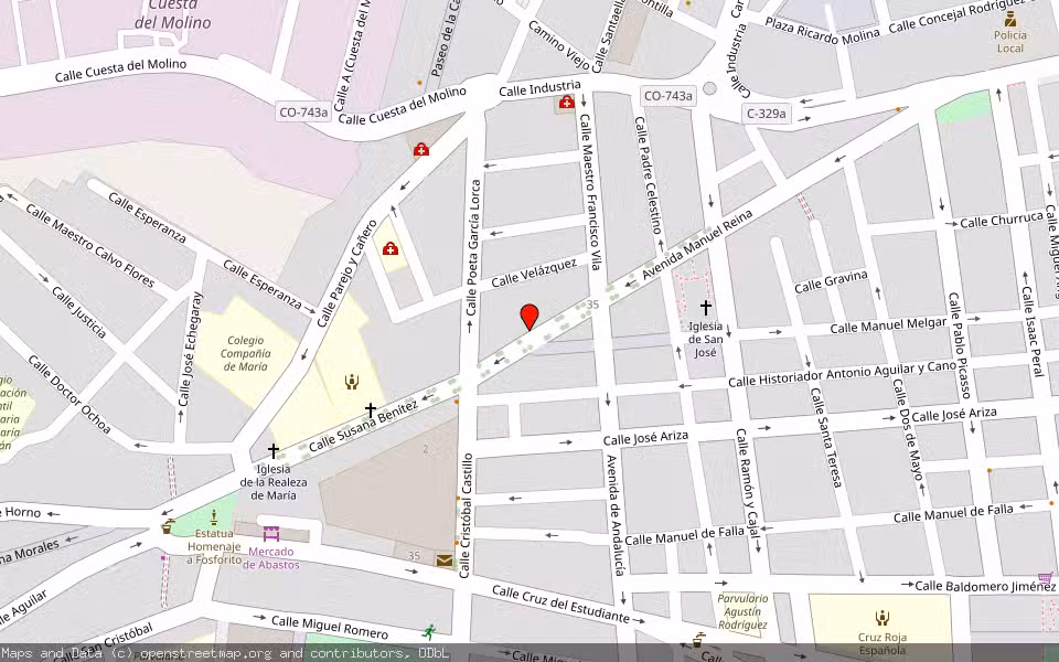 Mapa de Subasta Inmueble (Local comercial) en Puente Genil, Córdoba