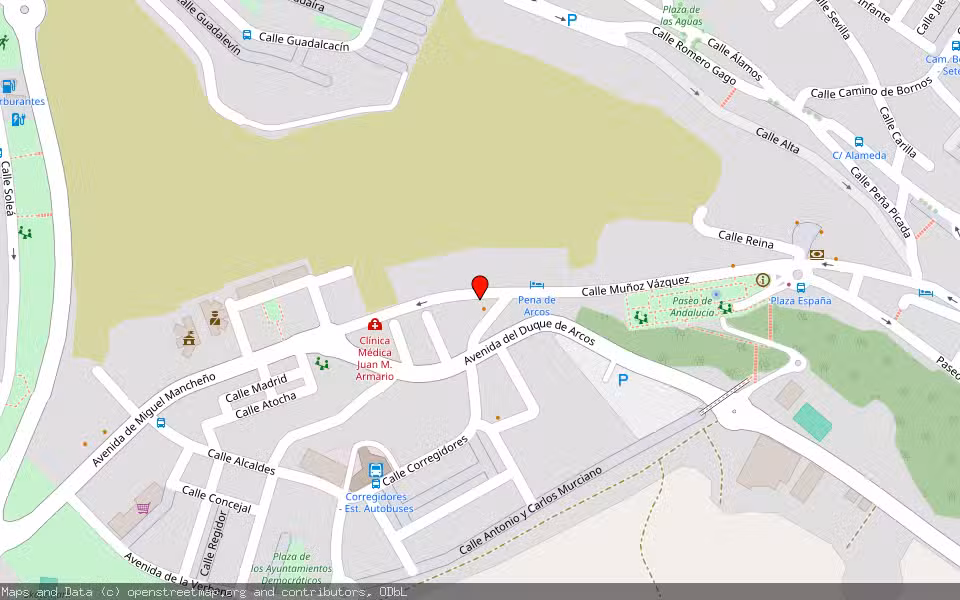 Mapa de Subasta Inmueble (Otros) en Arcos De La Frontera, Cádiz