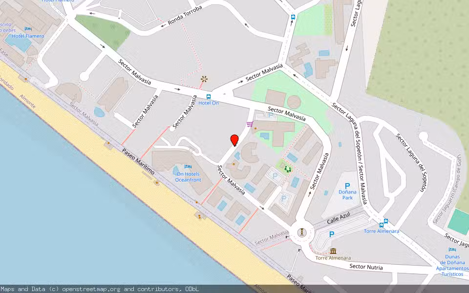 Mapa de Subasta Inmueble (Vivienda) en Almonte, Huelva
