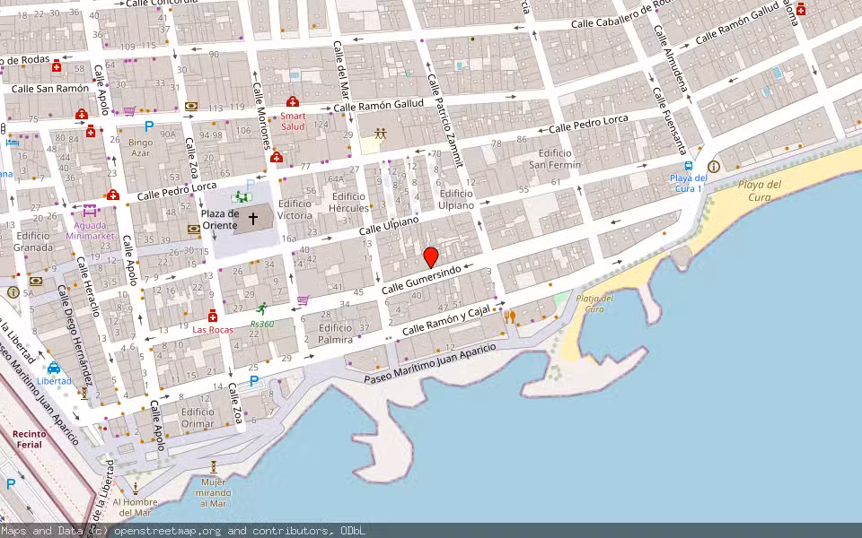 Mapa de Subasta Inmueble (Vivienda) en Torrevieja, Alicante/Alacant