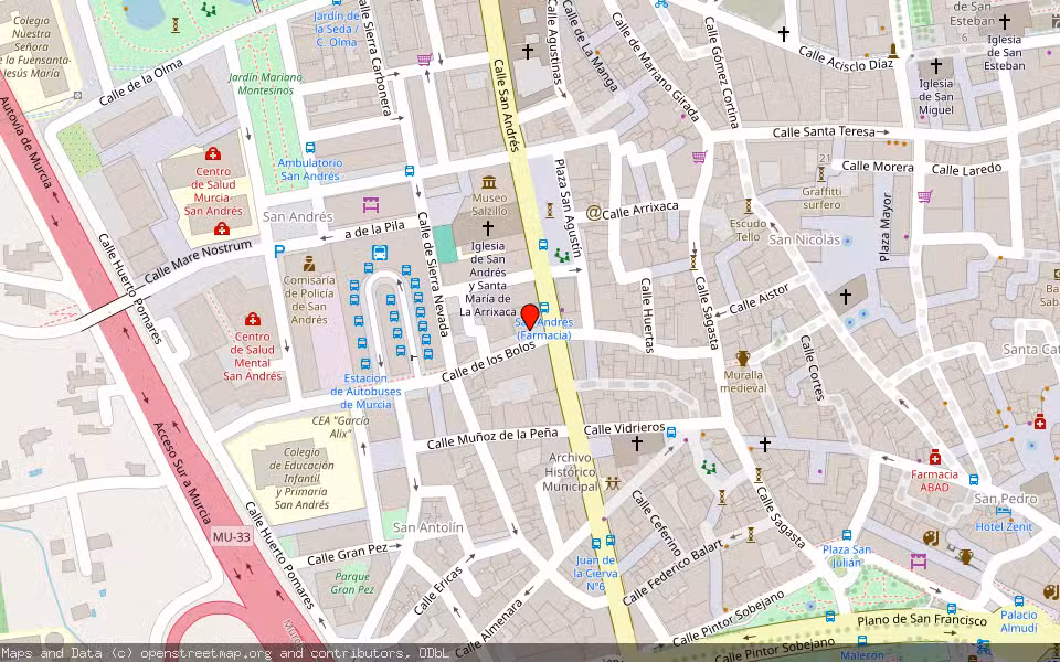 Mapa de Subasta Inmueble (Vivienda) en Murcia