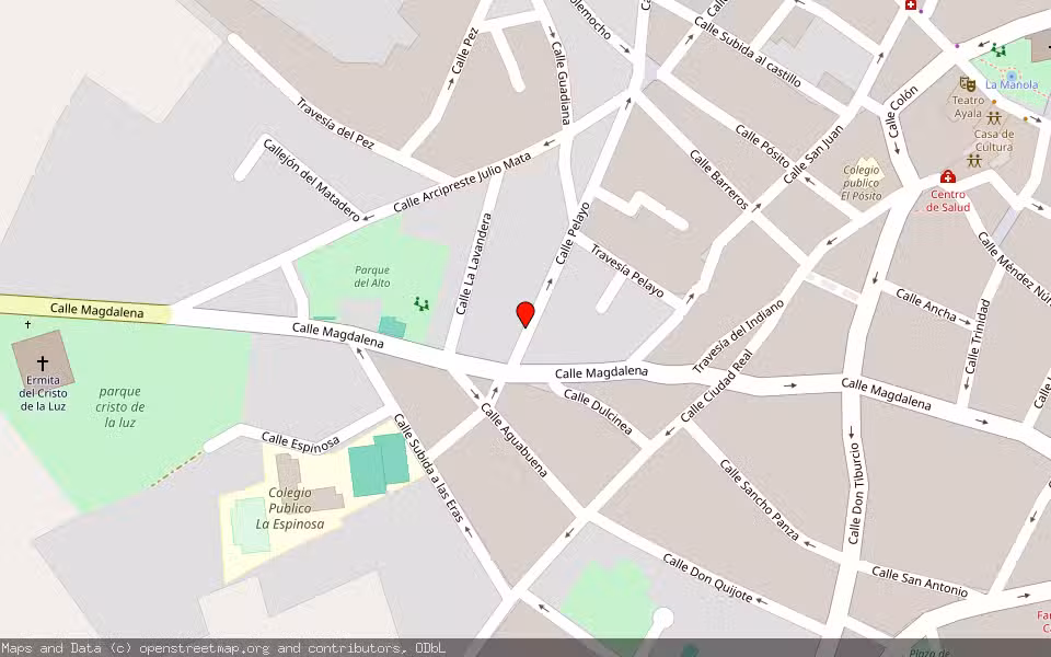 Mapa de Subasta Inmueble (Otros) en Daimiel, Ciudad Real