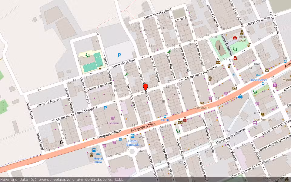 Mapa de Subasta Inmueble (Vivienda) en Elche, Alicante/Alacant