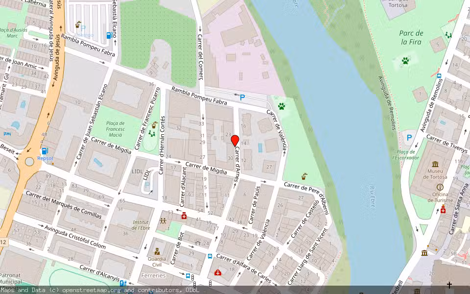 Mapa de Subasta Inmueble (Vivienda) en Tortosa, Tarragona