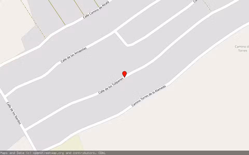 Mapa de Subasta Inmueble (Finca rústica) en Mejorada Del Campo, Madrid