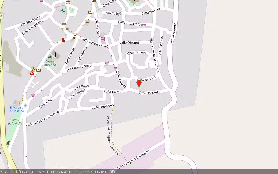 Mapa de Subasta Inmueble (Vivienda) en Bedmar, Jaén