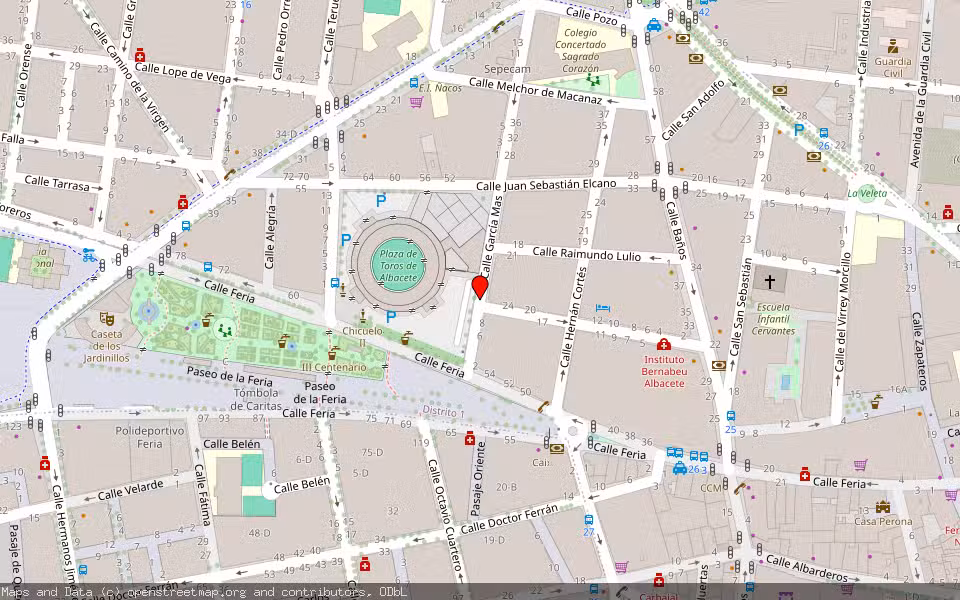 Mapa de Subasta Inmueble (Vivienda) en Albacete