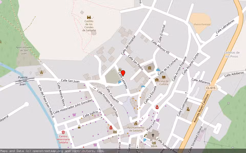 Mapa de Subasta Inmueble (Otros) en Saldaña, Palencia