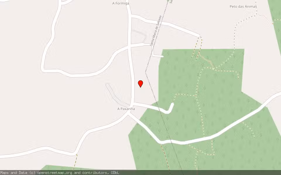 Mapa de Subasta Inmueble (Finca rústica) en Salvaterra De Miño, Pontevedra