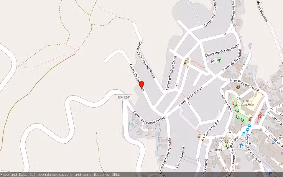 Mapa de Subasta Inmueble (Solar) en Sant Feliu De Codines, Barcelona