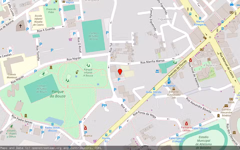Mapa de Subasta Inmueble (Vivienda) en Vigo, Pontevedra