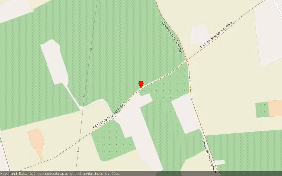 Mapa de Subasta Inmueble (Finca rústica) en Alcazar De San Juan, Ciudad Real
