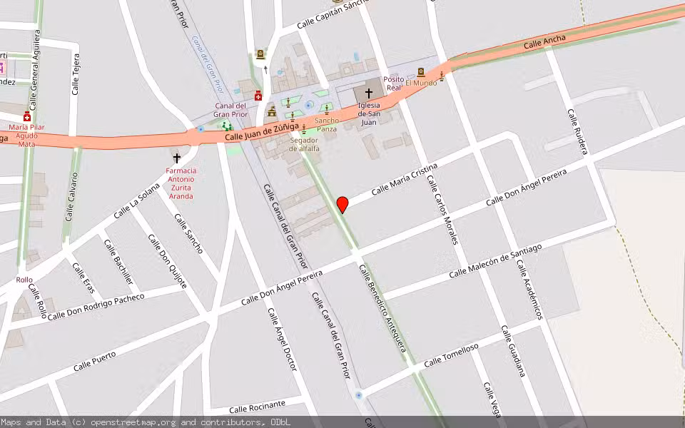 Mapa de Subasta Inmueble (Vivienda) en Argamasilla De Alba, Ciudad Real