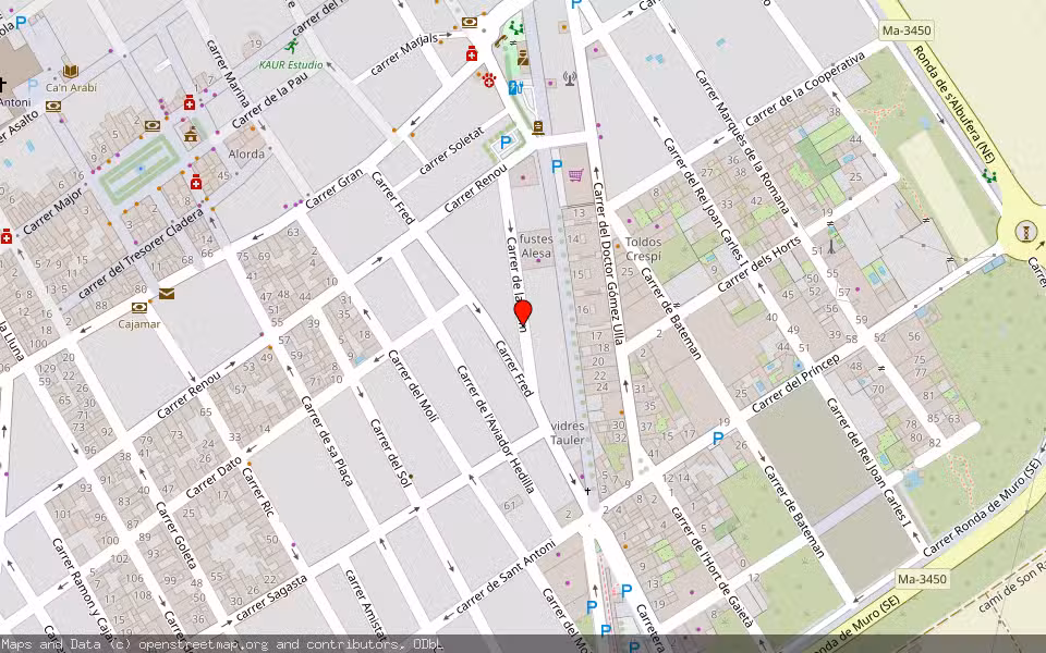 Mapa de Subasta Inmueble (Garaje) en Sa Pobla, Illes Balears