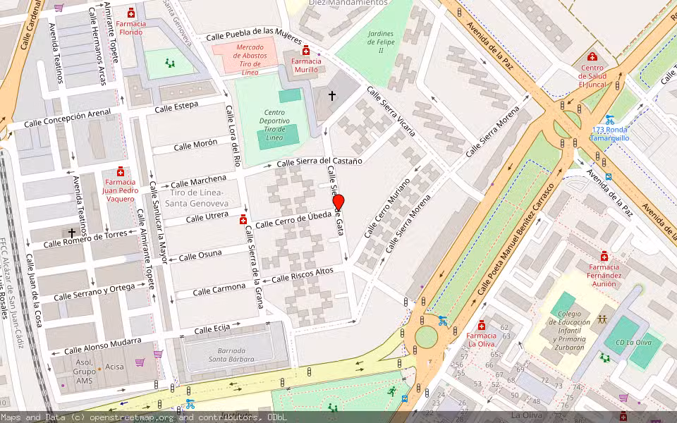 Mapa de Subasta Inmueble (Vivienda) en Sevilla