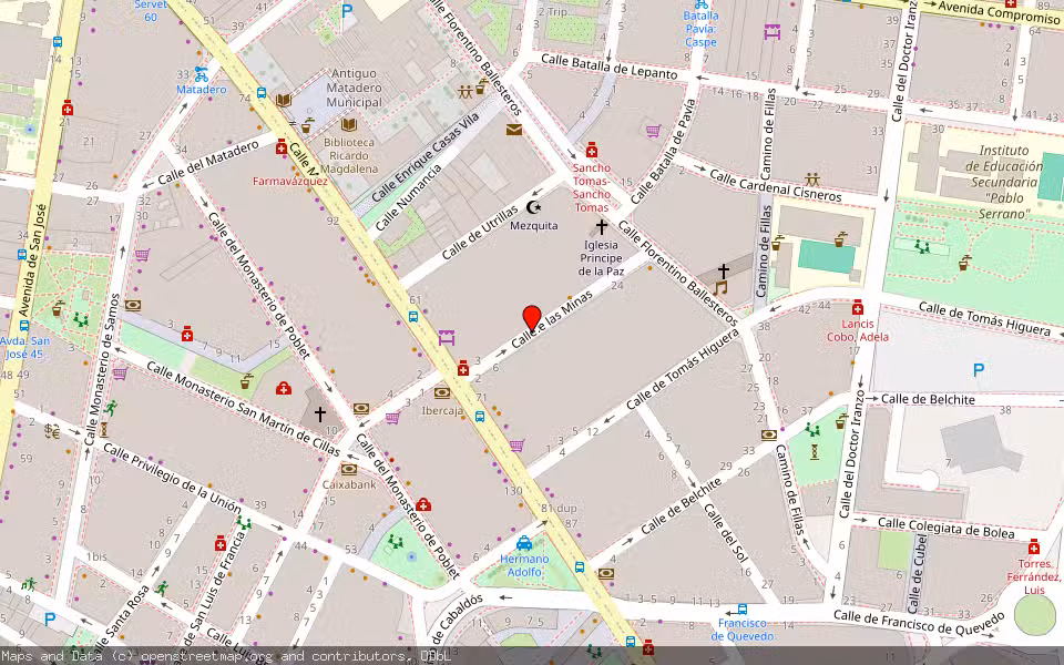 Mapa de Subasta Inmueble (Vivienda) en Zaragoza