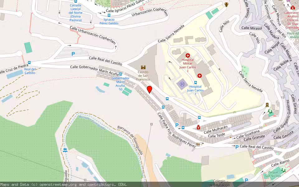 Mapa de Subasta Inmueble (Vivienda) en Las Palmas De Gran Canaria, Las Palmas