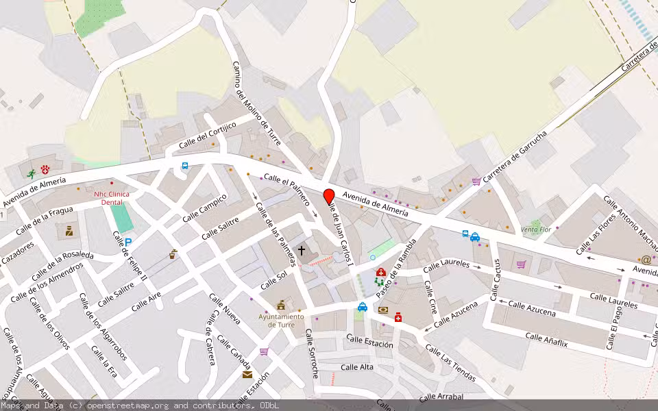 Mapa de Subasta Inmueble (Vivienda) en Turre, Almería