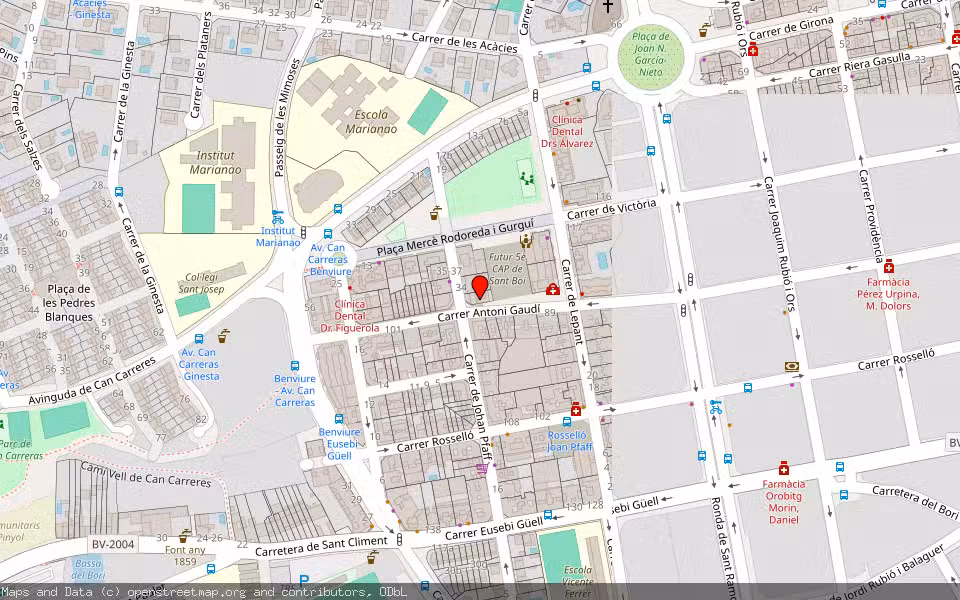 Mapa de Subasta Inmueble (Vivienda) en Sant Boi De Llobregat, Barcelona