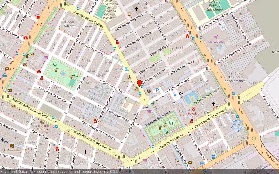 Mapa de Subasta Inmueble (Vivienda) en Salamanca