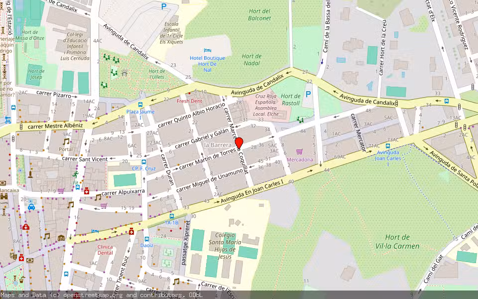 Mapa de Subasta Inmueble (Otros) en Elche, Alicante/Alacant
