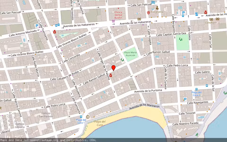 Mapa de Subasta Inmueble (Vivienda) en Torrevieja, Alicante/Alacant