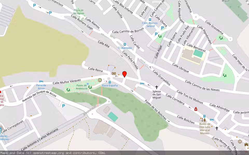 Mapa de Subasta Inmueble (Local comercial) en Arcos De La Frontera, Cádiz