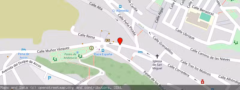 Mapa de Subasta de Inmueble (Local comercial) en Arcos De La Frontera, Cádiz 
