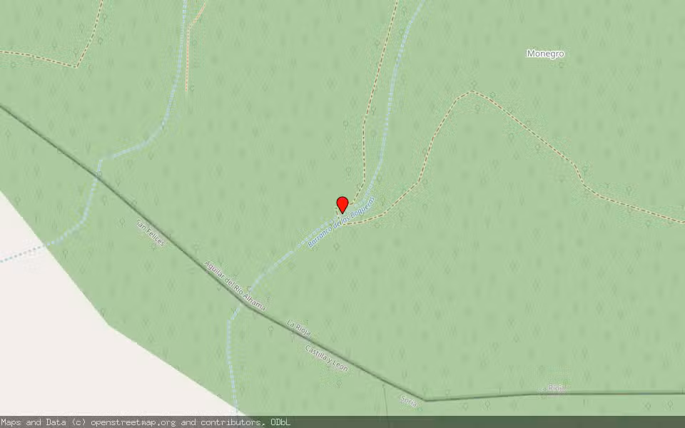 Mapa de Subasta Inmueble (Finca rústica) en San Felices, Soria