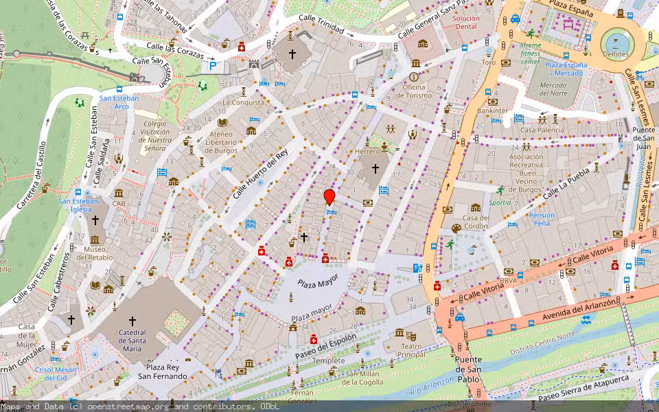 Mapa de Subasta Inmueble (Vivienda) en Burgos