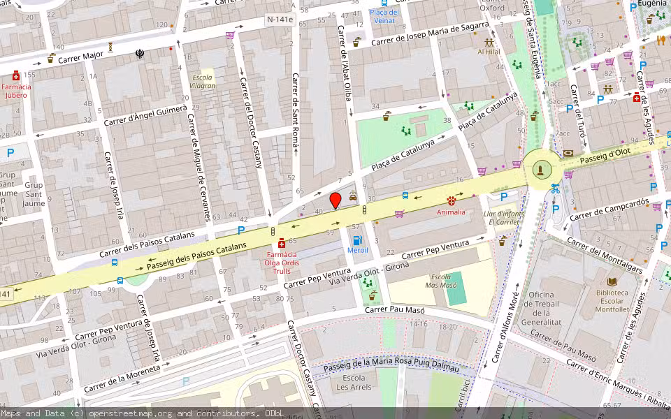 Mapa de Subasta Inmueble (Vivienda) en Salt, Girona