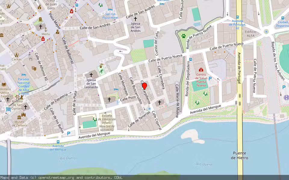 Mapa de Subasta Inmueble (Vivienda) en Zamora