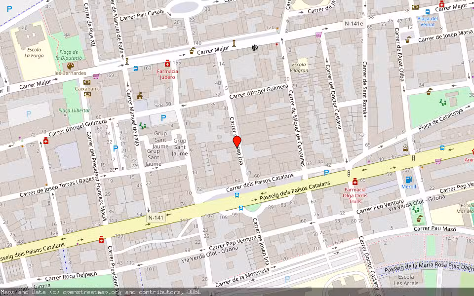 Mapa de Subasta Inmueble (Vivienda) en Salt, Girona