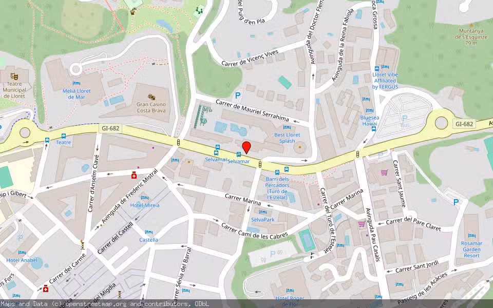 Mapa de Subasta Inmueble (Local comercial) en Lloret De Mar, Girona