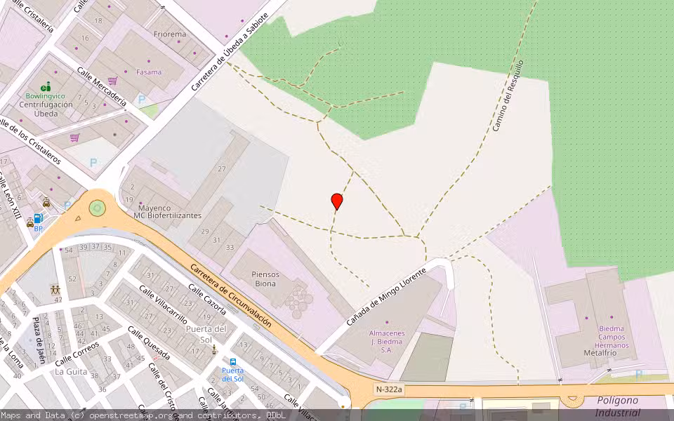 Mapa de Subasta Inmueble (Finca rústica) en Ubeda, Jaén