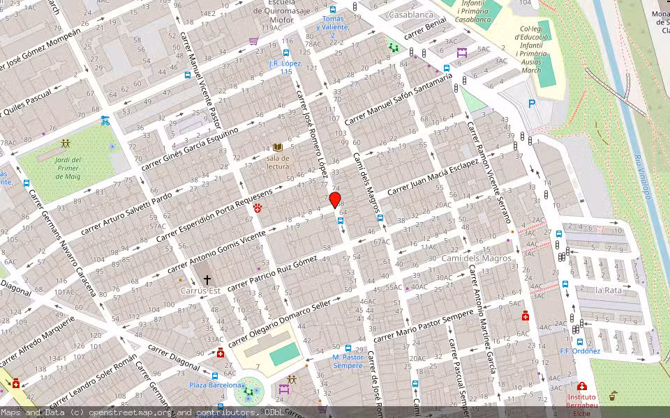 Mapa de Subasta Inmueble (Vivienda) en Elche, Alicante/Alacant