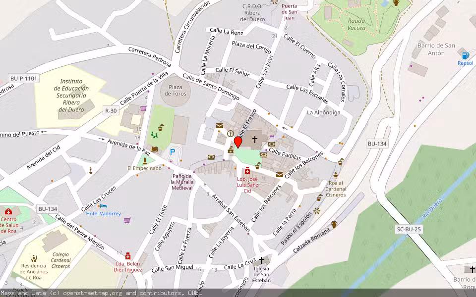 Mapa de Subasta Inmueble (Finca rústica) en Roa, Burgos