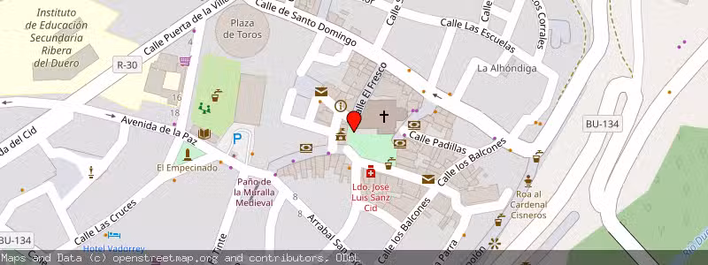 Mapa de Subasta de Inmueble (Finca rústica) en Roa, Burgos 