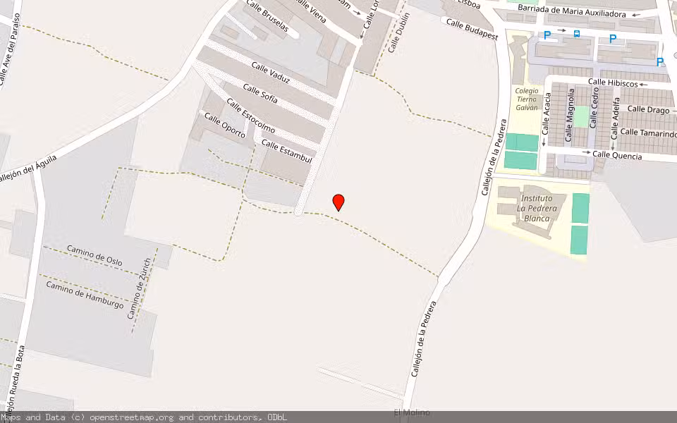 Mapa de Subasta Inmueble (Finca rústica) en Chiclana De La Frontera, Cádiz